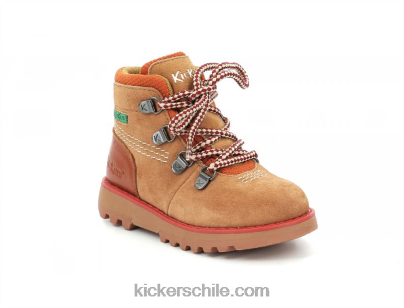 Kickers camello 4PZ0T817 niños