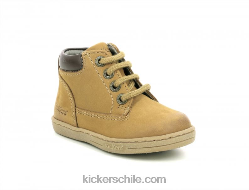 Kickers camello 4PZ0T830 niños