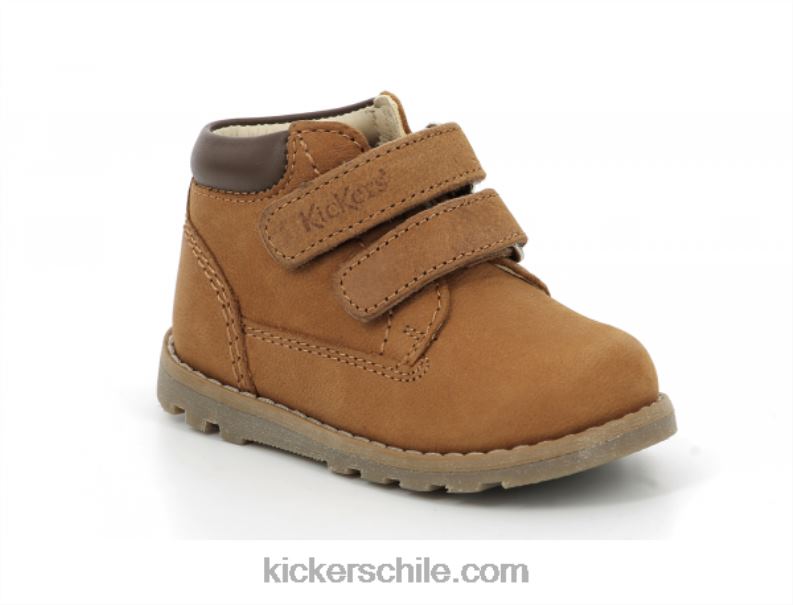 Kickers camello nogankro 4PZ0T880 niños