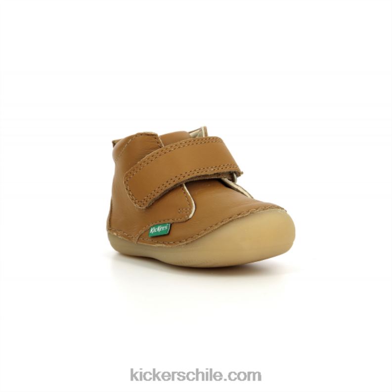 Kickers camello sabio 4PZ0T792 niños