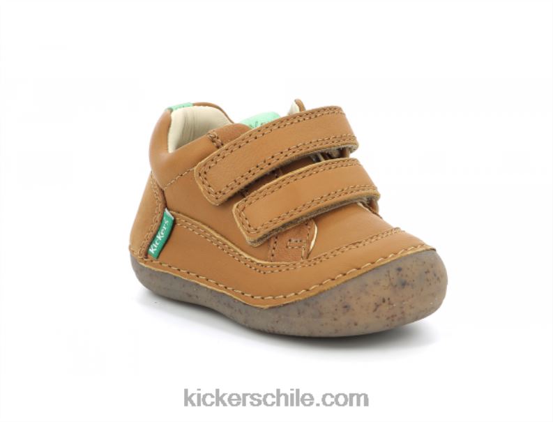 Kickers camello sostankro 4PZ0T914 niños