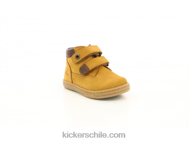 Kickers camello vulgar 4PZ0T845 niños