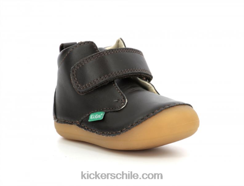 Kickers marrón oscuro sabio 4PZ0T790 niños