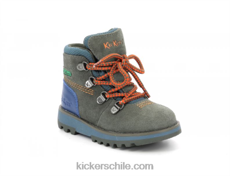 Kickers naturaleza nula 4PZ0T814 niños