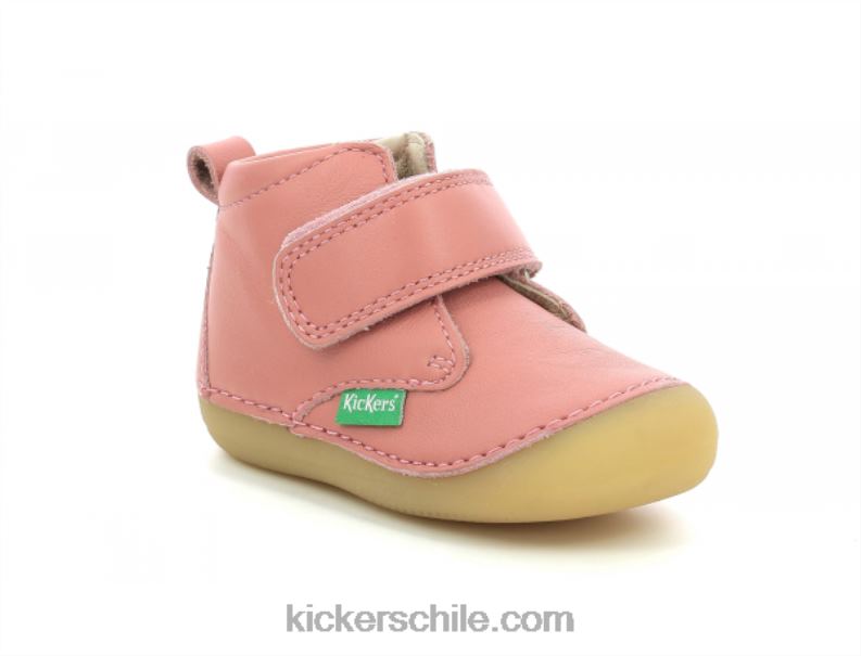 Kickers rosa antiguo sabio 4PZ0T791 niños