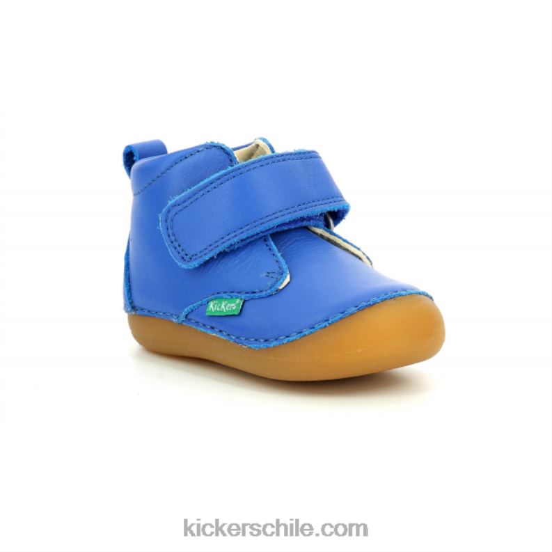 Kickers sabio azul 4PZ0T886 niños