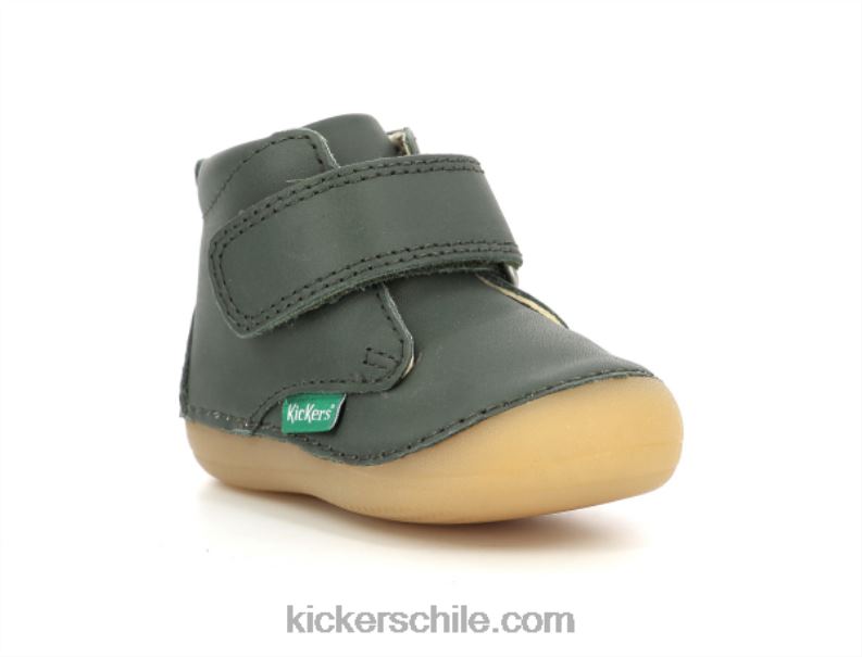 Kickers sabio nulo 4PZ0T911 niños