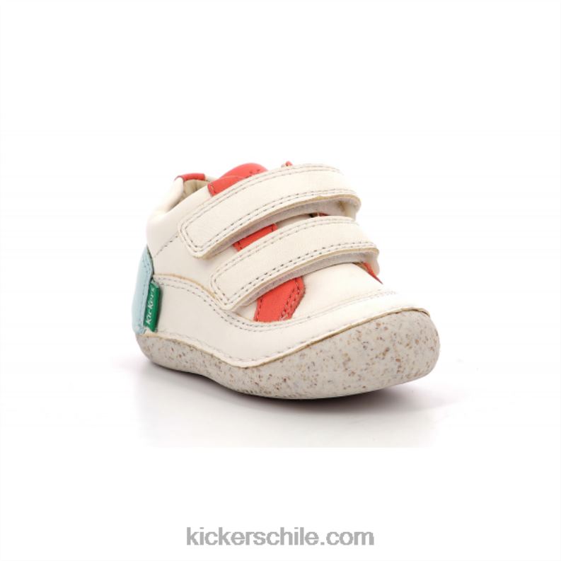 Kickers sostankro blanco rosa azul 4PZ0T833 niños