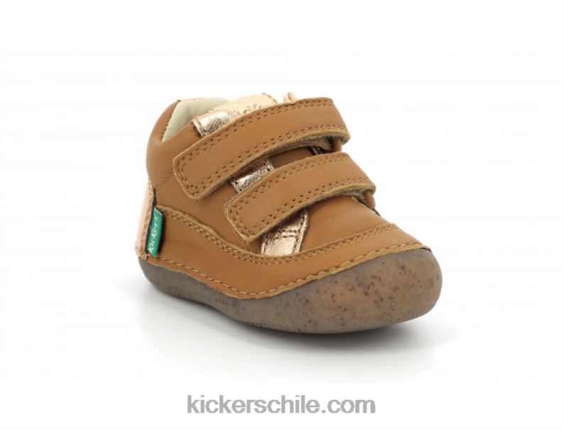 Kickers sostankro camello oro 4PZ0T891 niños