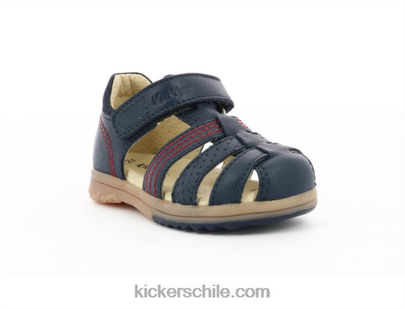 Kickers azul marino 4PZ0T586 niños