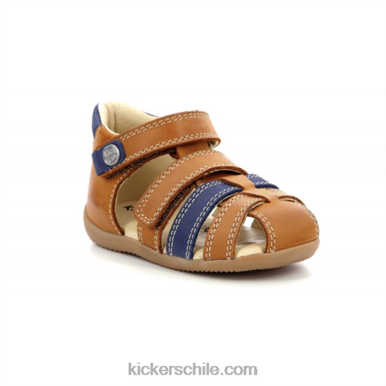 Kickers bípode camello azul 4PZ0T696 niños