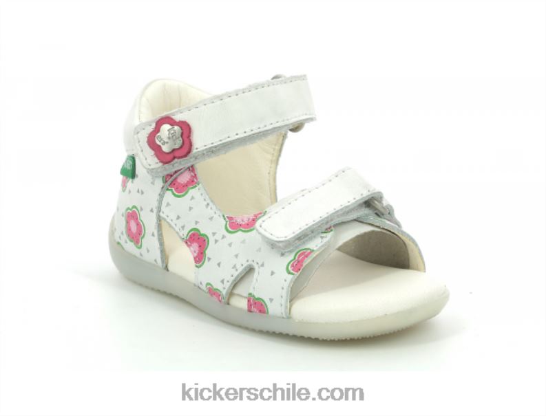 Kickers binsia-2 flor blanca 4PZ0T378 niños