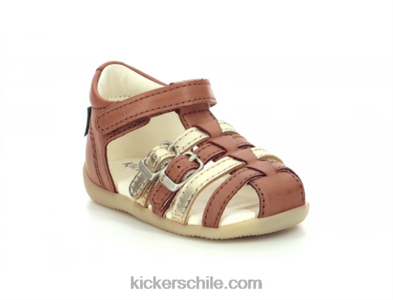 Kickers camello bigkro oro 4PZ0T695 niños