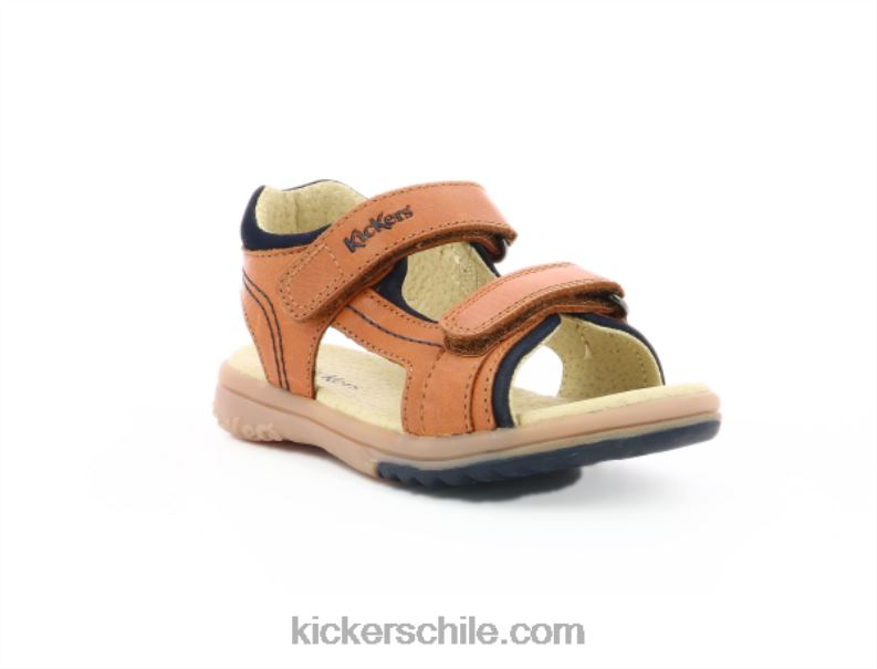 Kickers camello platino 4PZ0T590 niños