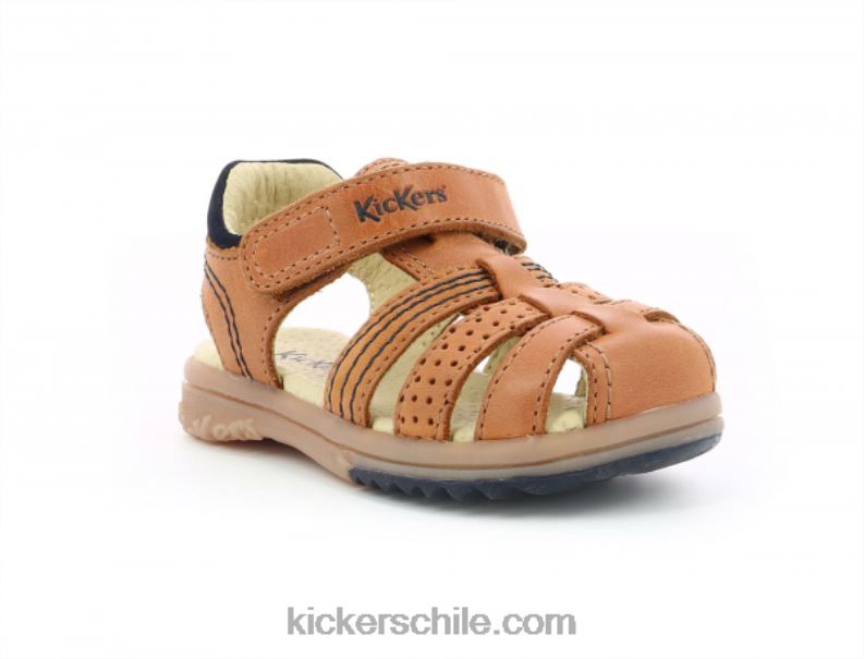 Kickers camello platino 4PZ0T647 niños