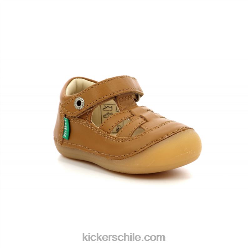 Kickers camello sushy 4PZ0T511 niños