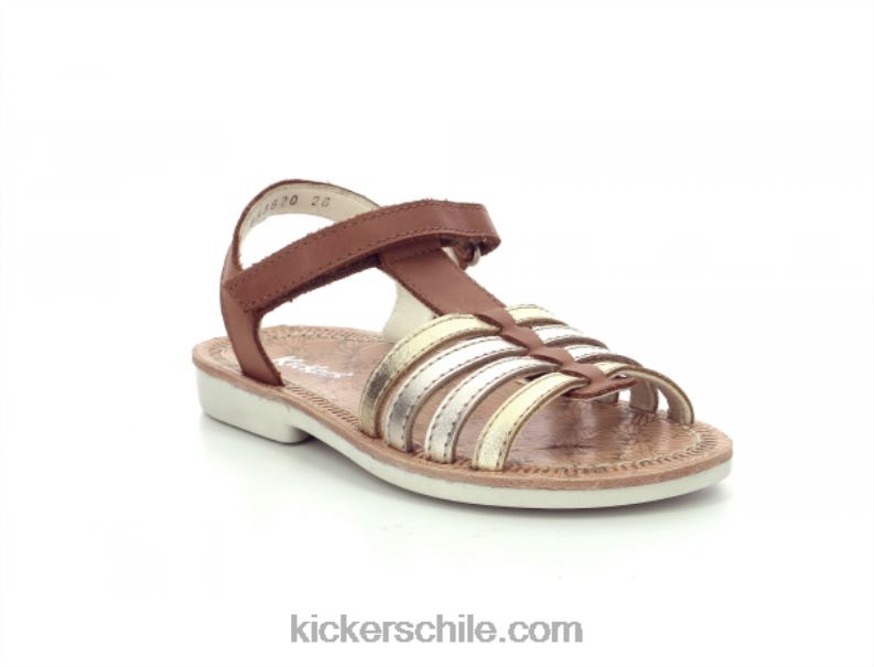 Kickers cosmético marrón 4PZ0T483 niños