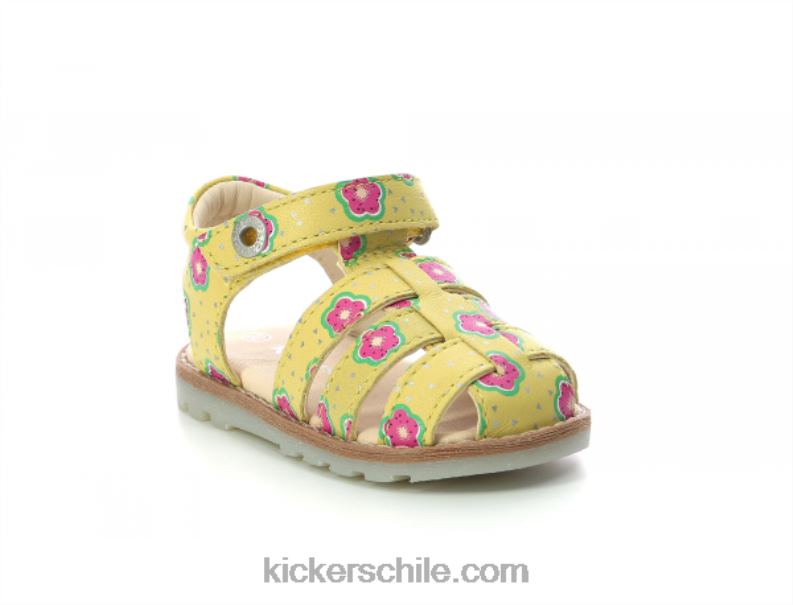 Kickers flor amarilla nonosti 4PZ0T543 niños