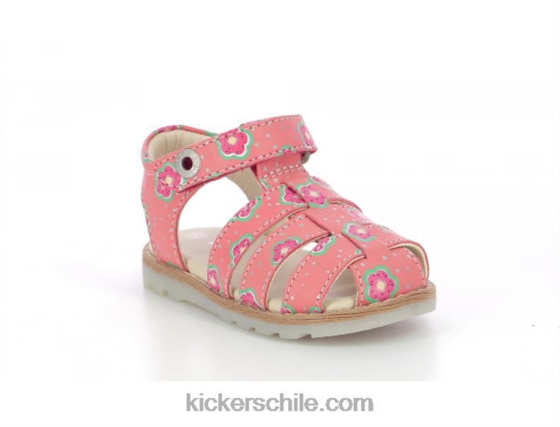 Kickers flor rosa nonosti 4PZ0T544 niños