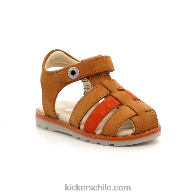 Kickers naranja camel nonosti 4PZ0T619 niños