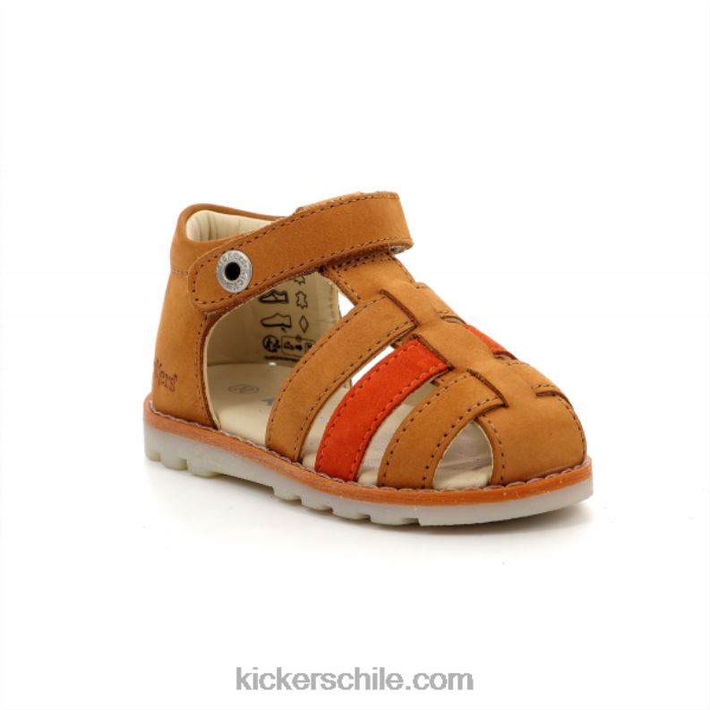 Kickers nonopi naranja camello 4PZ0T700 niños