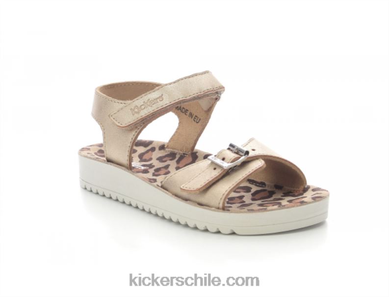 Kickers odisea de oro 4PZ0T432 niños