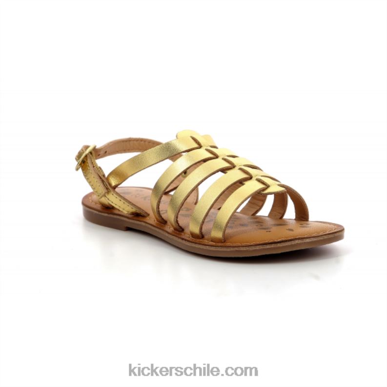 Kickers oro dixon 4PZ0T732 niños