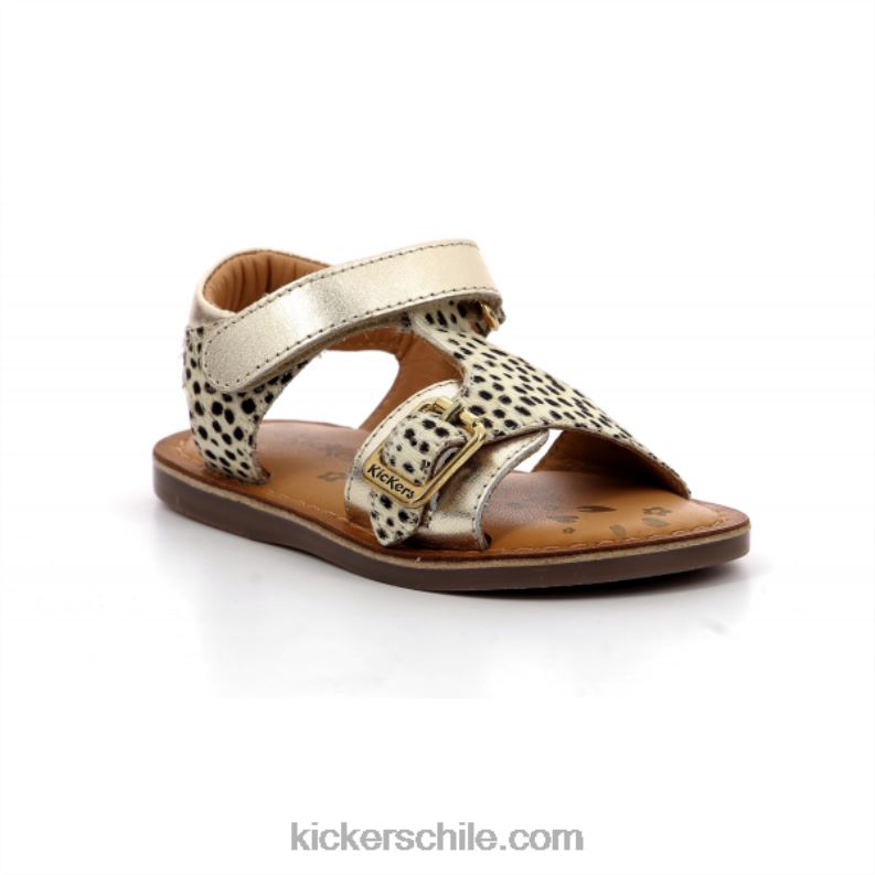 Kickers pony de oro diazz 4PZ0T579 niños