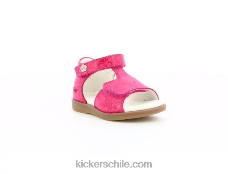 Kickers reptil estampado rosa giusticia 4PZ0T463 niños