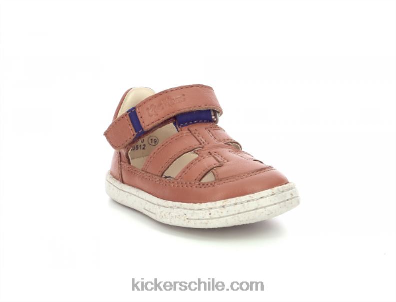 Kickers tractus camello azul 4PZ0T460 niños