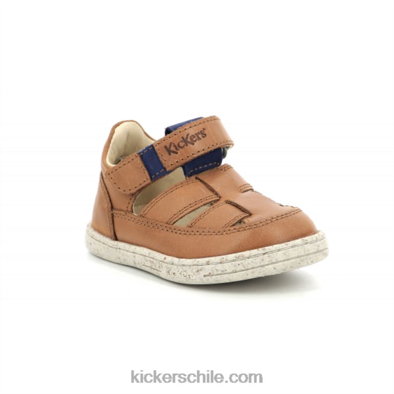 Kickers tractus camello azul 4PZ0T576 niños