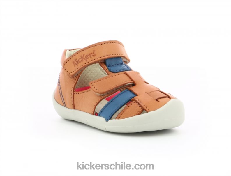 Kickers wasabou camello azul 4PZ0T559 niños