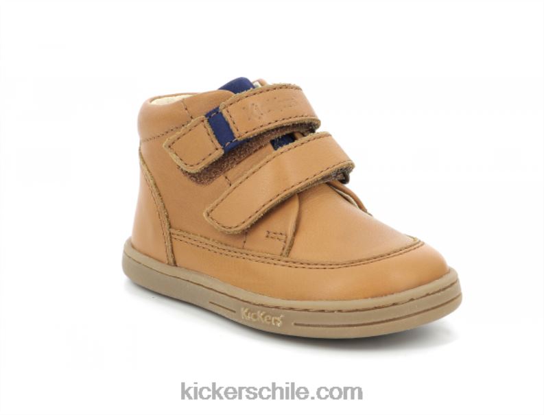 Kickers camello 4PZ0T983 niños